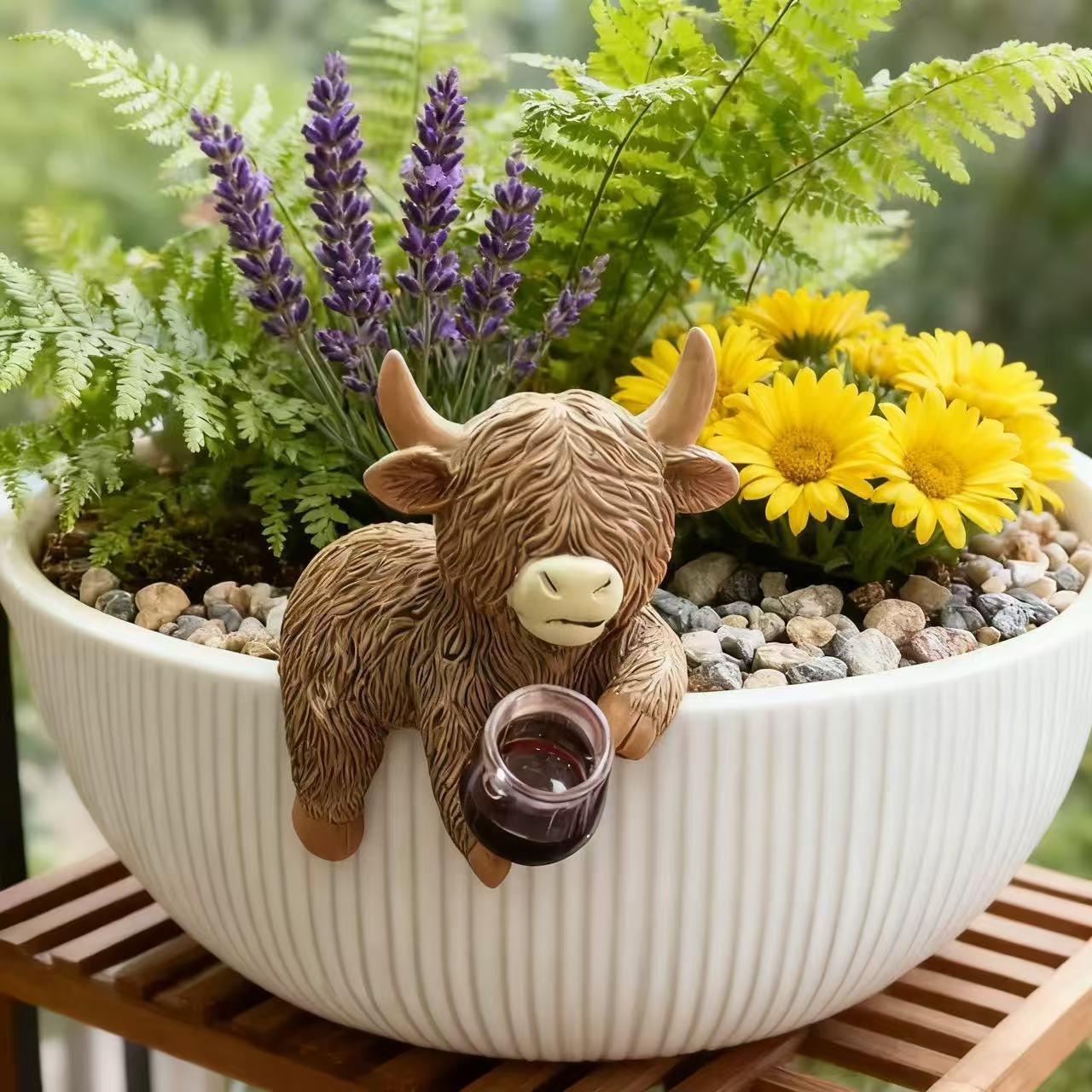 Patung Sapi Highland Lucu yang - Wine Beer Garden ulasan dan harga
